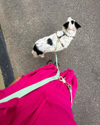 Convertible Hands Free Dog Leash - Mint