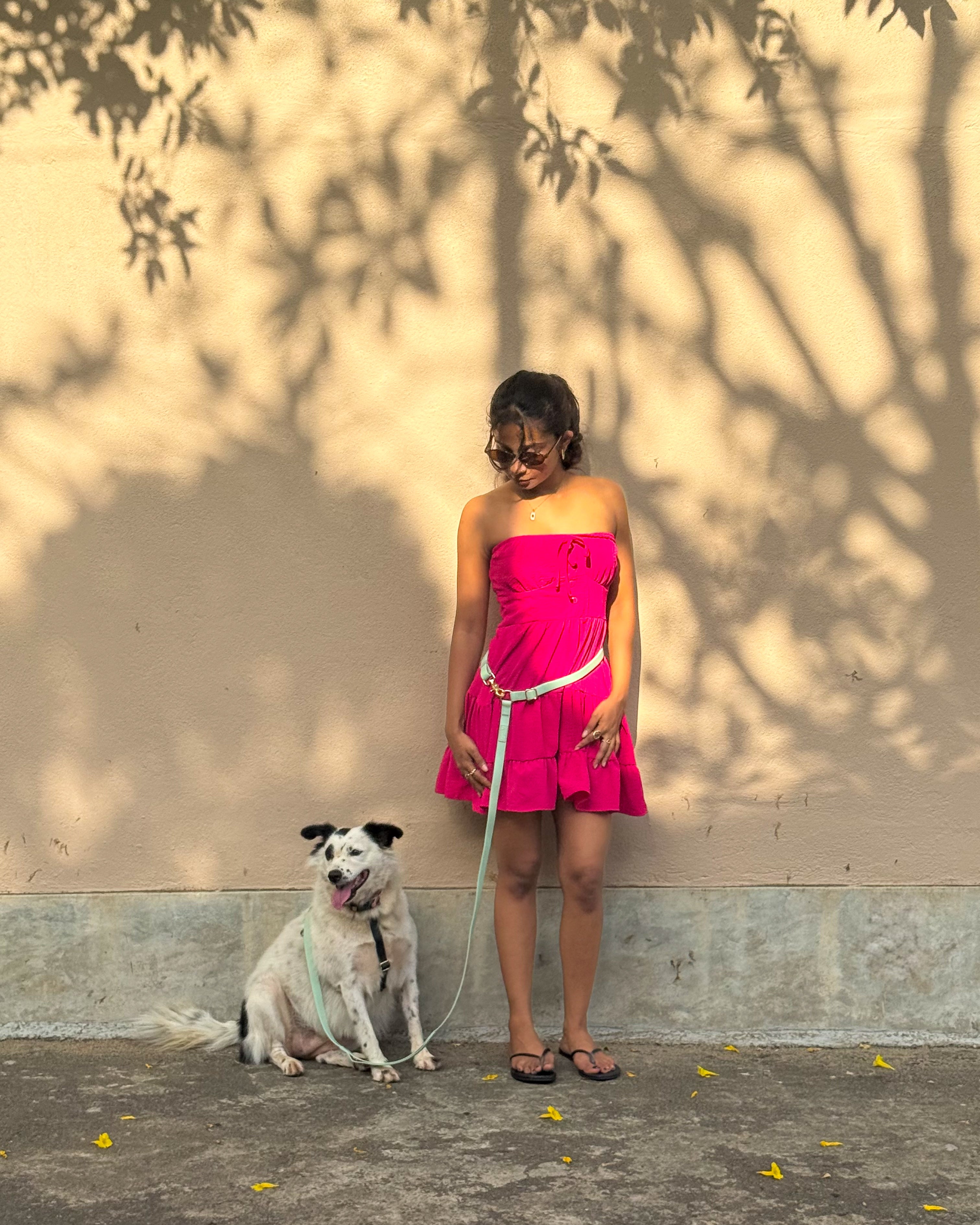Convertible Hands Free Dog Leash - Mint
