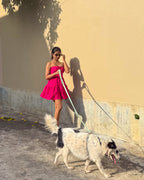 Convertible Hands Free Dog Leash - Mint