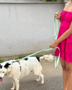 Convertible Hands Free Dog Leash - Mint