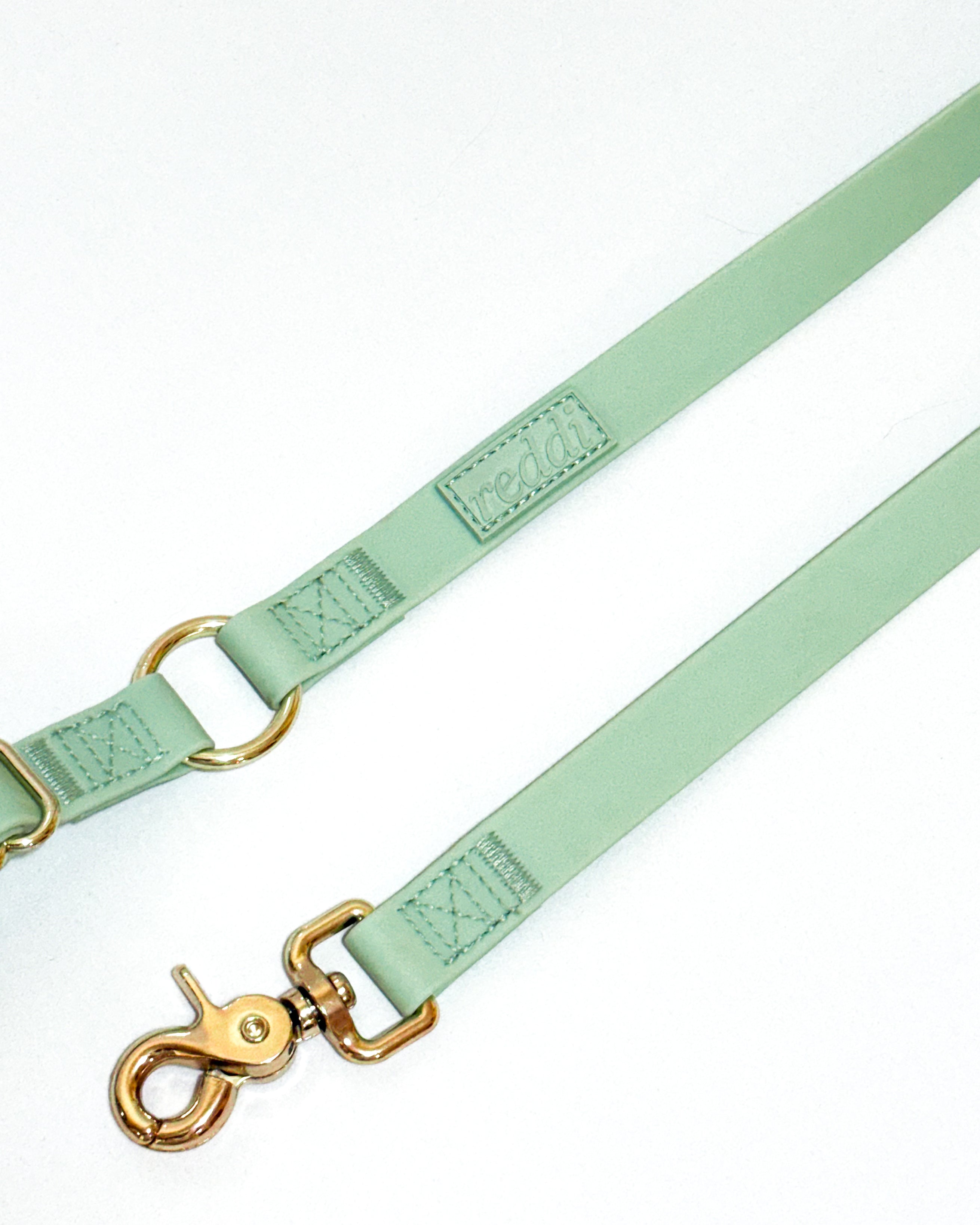 Convertible Hands Free Dog Leash - Mint