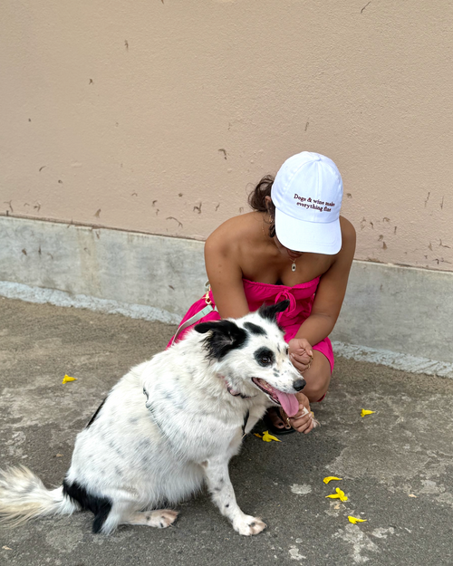 Dogs & Wine Make Everything Fine Cap